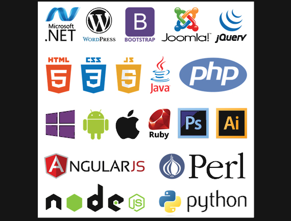 montega website programs